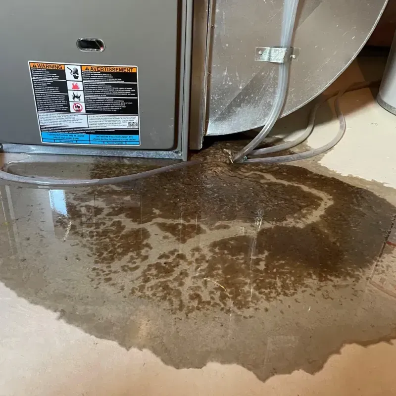 Appliance Leak Cleanup in Rosedale, WA